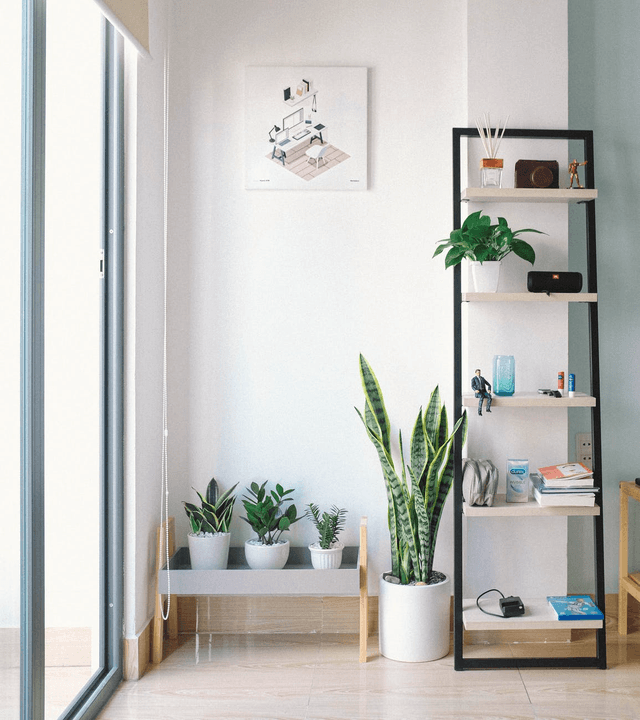 Furniture 1